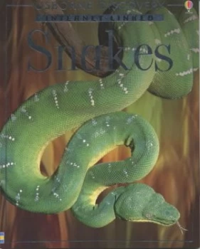 Image of Snakes by Rachel Firth and Jonathan Sheikh-Miller and John Woodcock and Gillian Doherty and Chris Mattison and Kevin Buley Paperback