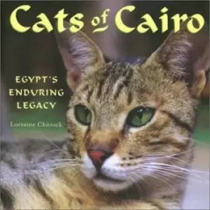 Image of Cats of Cairo by Lorraine Chittock