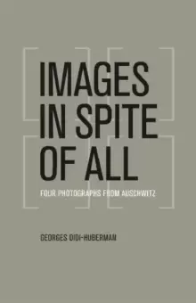 Image of Images in Spite of All : Four Photographs from Auschwitz