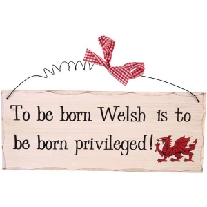 Image of To Be Born Welsh Hanging Sign