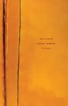 Image of Lucky Wreck - Poems