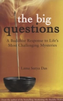 Image of The Big Questions by Surya Das Paperback