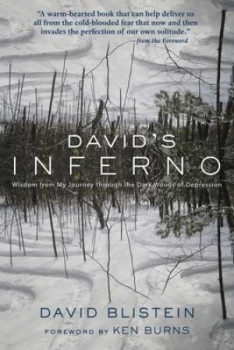 Image of Davids Inferno by David Blistein Paperback