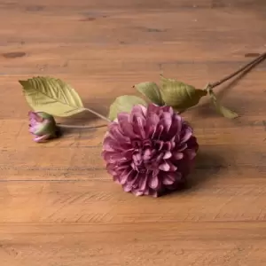 Image of Dusty Pink Dahlia Stem
