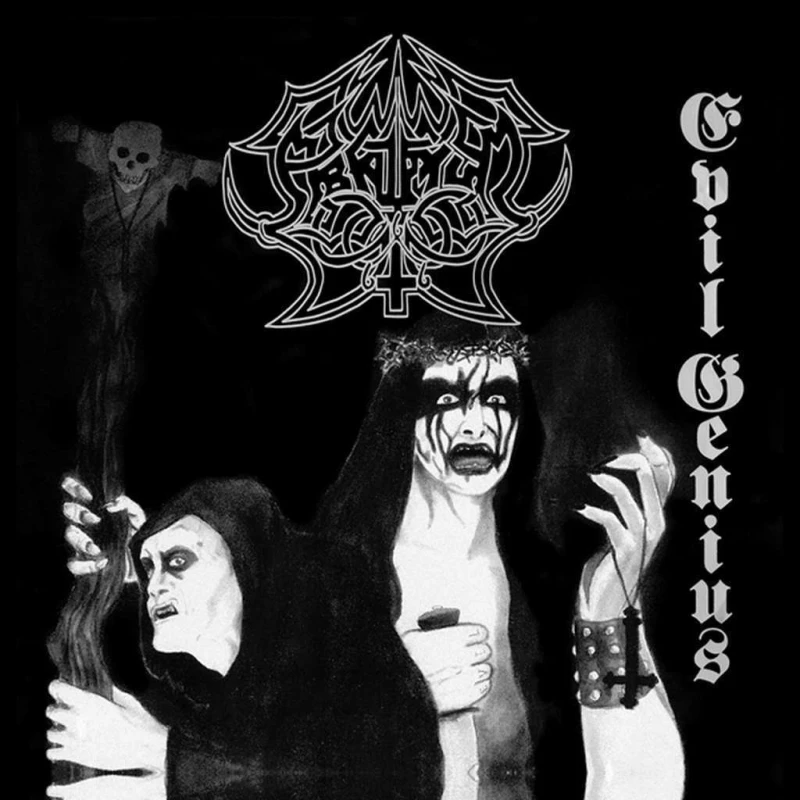 Image of Evil genius Vinyl