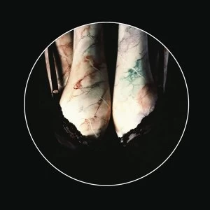 Image of Renaldo & The Loaf - The Elbow Is Taboo / Elbonus Vinyl
