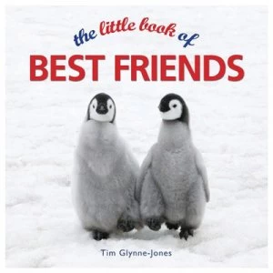 Image of The Little Book of Best Friends by Tim Glynne-Jones Hardback
