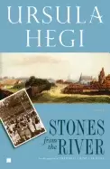 Image of stones from the river
