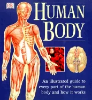 Image of human body an illustrated guide to every part of the human body and how it