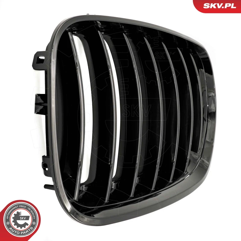 Image of ESEN SKV Radiator Grille ESEN SKV 66SKV276