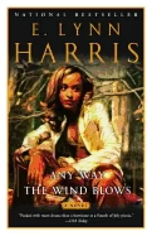 Image of any way the wind blows a novel