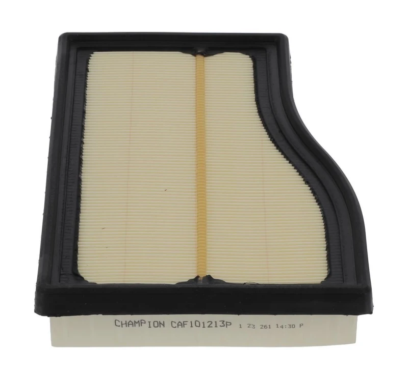 Image of Air filter CHAMPION CAF101213P