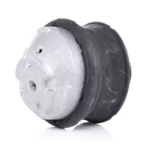 Image of RIDEX Engine mount 247E0098 Motor mount,Engine mounting bracket MERCEDES-BENZ,E-Klasse Limousine (W211),C-Klasse Limousine (W203)