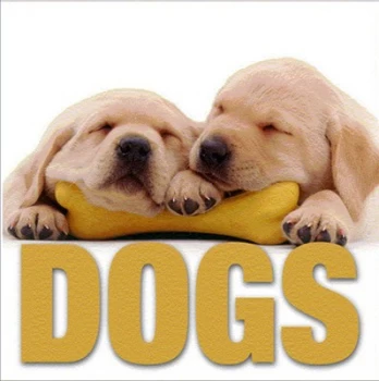 Image of Dogs by Enrico Lavagno Hardback