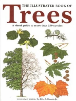 Image of The Illustrated Book of Trees by Eric a Bourdo Book