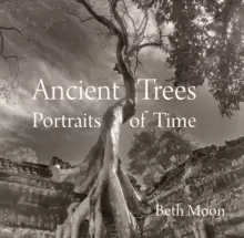 Image of Ancient Trees : Portraits of Time