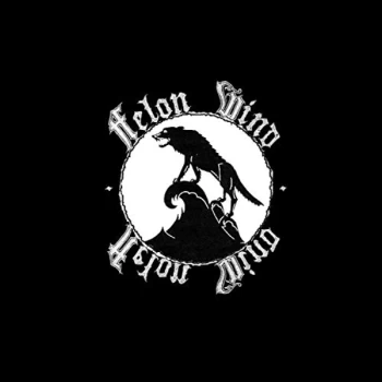 Image of Felon - Felon Wind Vinyl