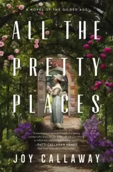 Image of All the Pretty Places : A Novel of the Gilded Age