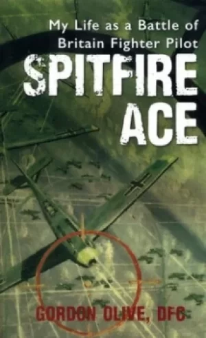 Image of Spitfire ace by Gordon Olive