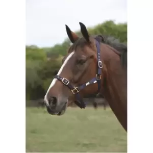 image of Roma Adjustable Headcollar - Blue