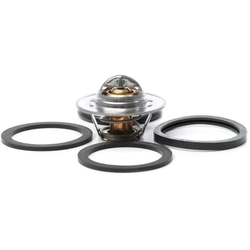 Image of METZGER 4006029 Engine thermostat Opening Temperature: 89°C, with gaskets/seals Thermostat,coolant (316)