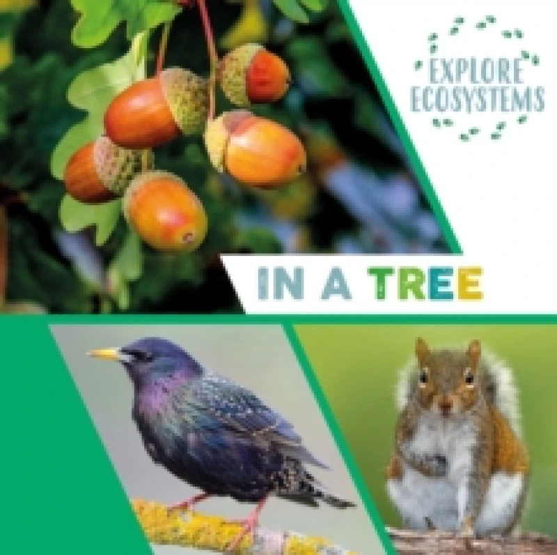 Image of Sarah Ridley Explore Ecosystems: In a Tree Book Multi unisex