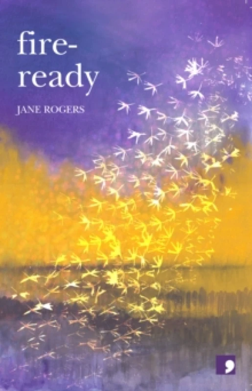 Image of Fire Ready Paperback / softback