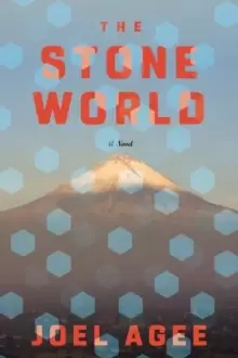 Image of The Stone World