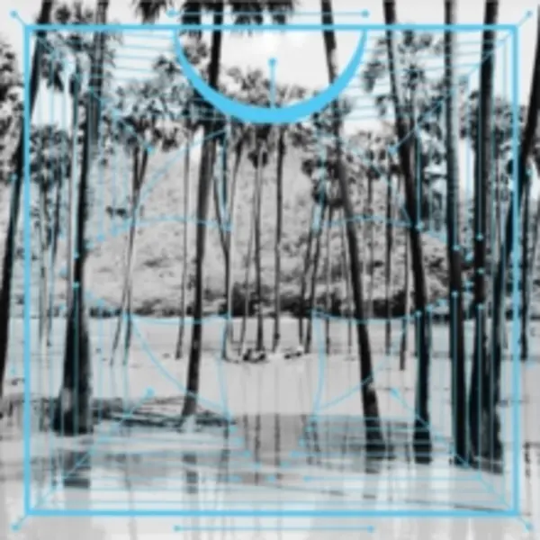 Image of Four Tet - Pink Vinyl