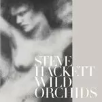 image of Steve Hackett - Wild Orchids (Music CD)