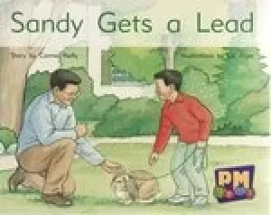 Image of PM Yellow: Sandy Gets a Lead (PM Gems) Levels 6, 7, 8