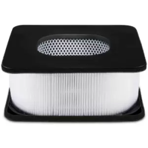 image of Avalla - R-190 Air Purifier True HEPA and Active Carbon Filter Set