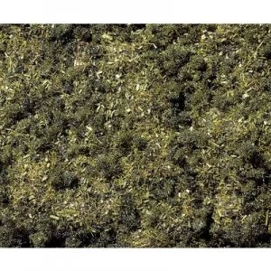 Image of NOCH 8350 Scatter Grass Forest Ground