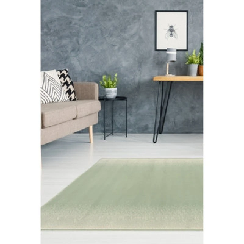 Image of Melrose Ombre Plain Sage Green Large Indoor Area Rug 160/230