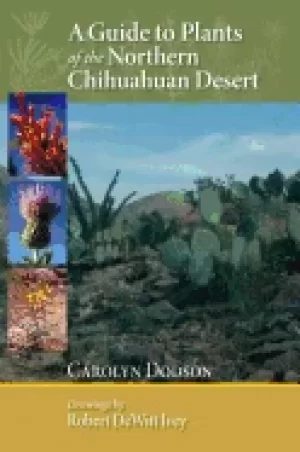 Image of guide to plants of the northern chihuahuan desert
