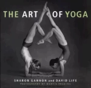 Image of art of yoga