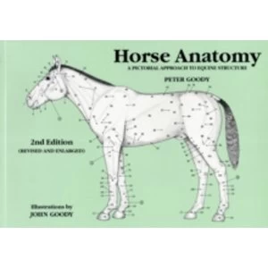 Image of Horse Anatomy : A Pictorial Approach to Equine Structure