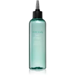 image of A'pieu Mint Scalp Soothing Serum for Sensitive and Irritated Scalp 200ml