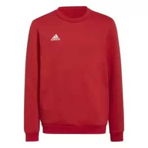 image of adidas ENT22 Sweater Juniors - Red