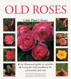 Image of Old Roses by Andrew Mikolajski and Linden Hawthorne and Peter Anderson Hardback