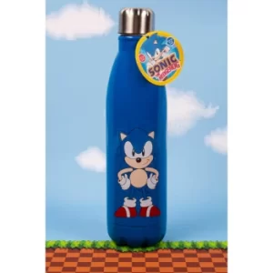 image of Sonic the Hedgehog 500ml Metal Water Bottle