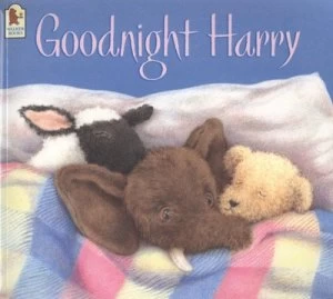 Image of Goodnight Harry by Kim Lewis Paperback