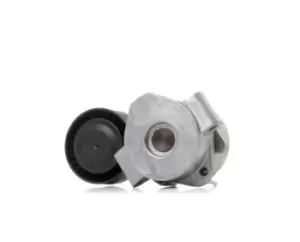 Image of RIDEX Tensioner Pulley 310T0289 Tensioner Pulley, v-ribbed belt FORD,FIAT,PEUGEOT,TRANSIT MK-7 Kasten,Transit V363 Kastenwagen (FCD, FDD)