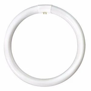 Image of Bell 60W CFL T9 G10q Circular Bulb - Warm White