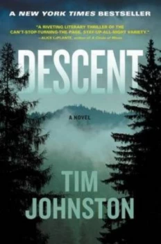 Image of Descent by Tim Johnston Paperback