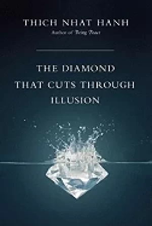 Image of diamond that cuts through illusion