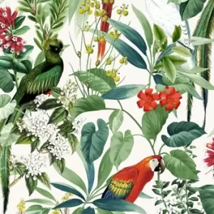 image of Escapade Ikala Jungle Birds Tropical Parrot Wallpaper - Multi - L76204 - Muriva