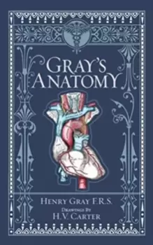 Image of Gray's Anatomy (Barnes & Noble Collectible Classics: Omnibus Edition)