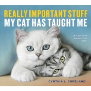 Image of Really Important Stuff My Cat Has Taught Me