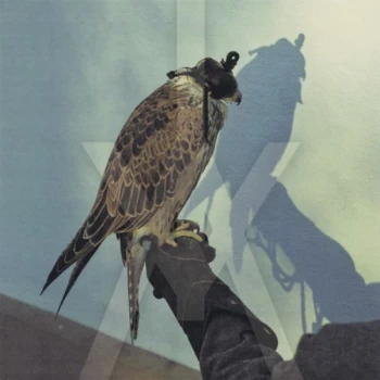 Image of Iceage - You're Nothing Vinyl